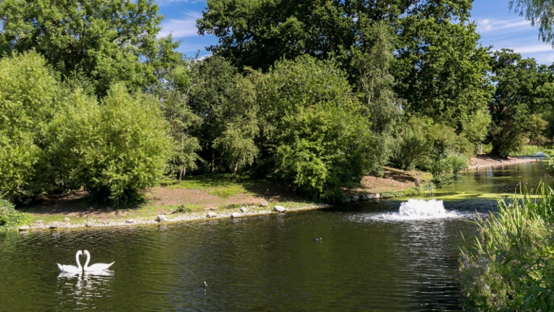 Harley House Galliard Homes