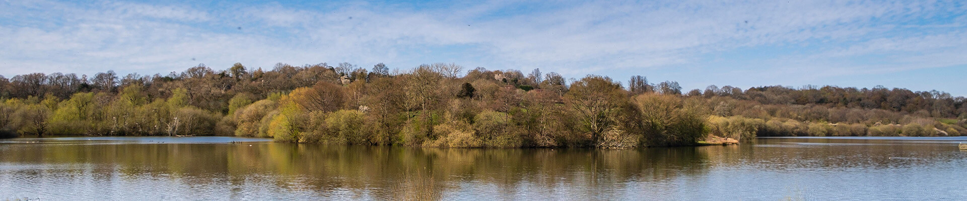 Scenery including a lake in West Sussex