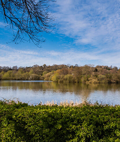 Scenery including a lake in West Sussex