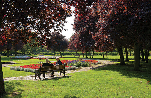 A bench and green space in Ealing.