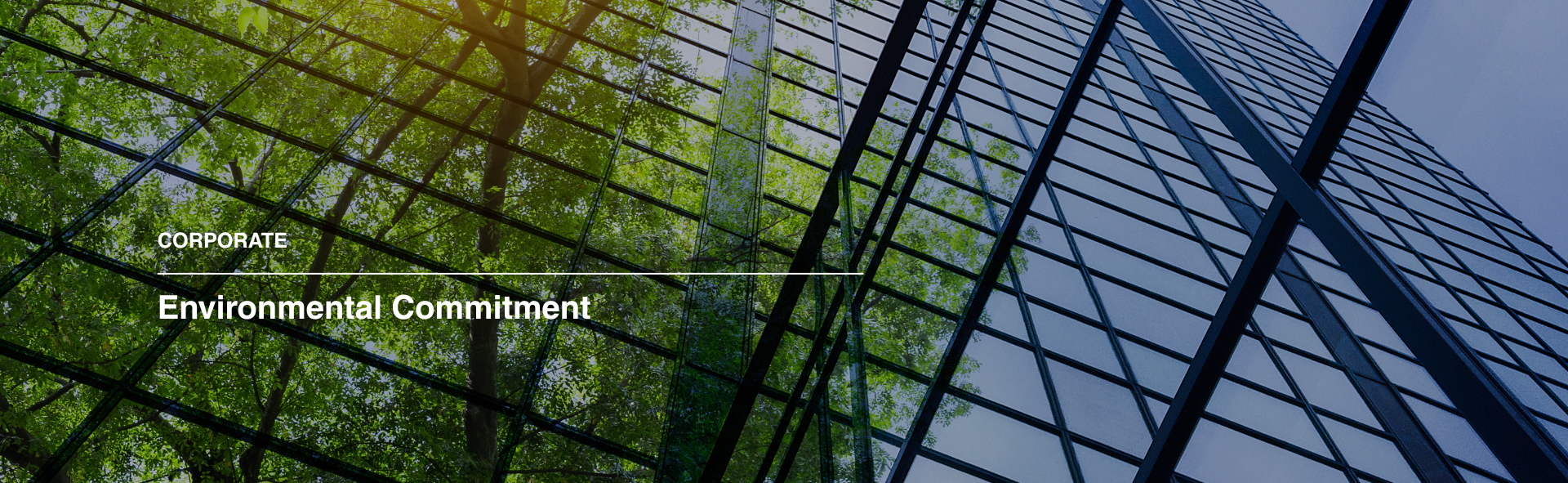 Environment Commitment