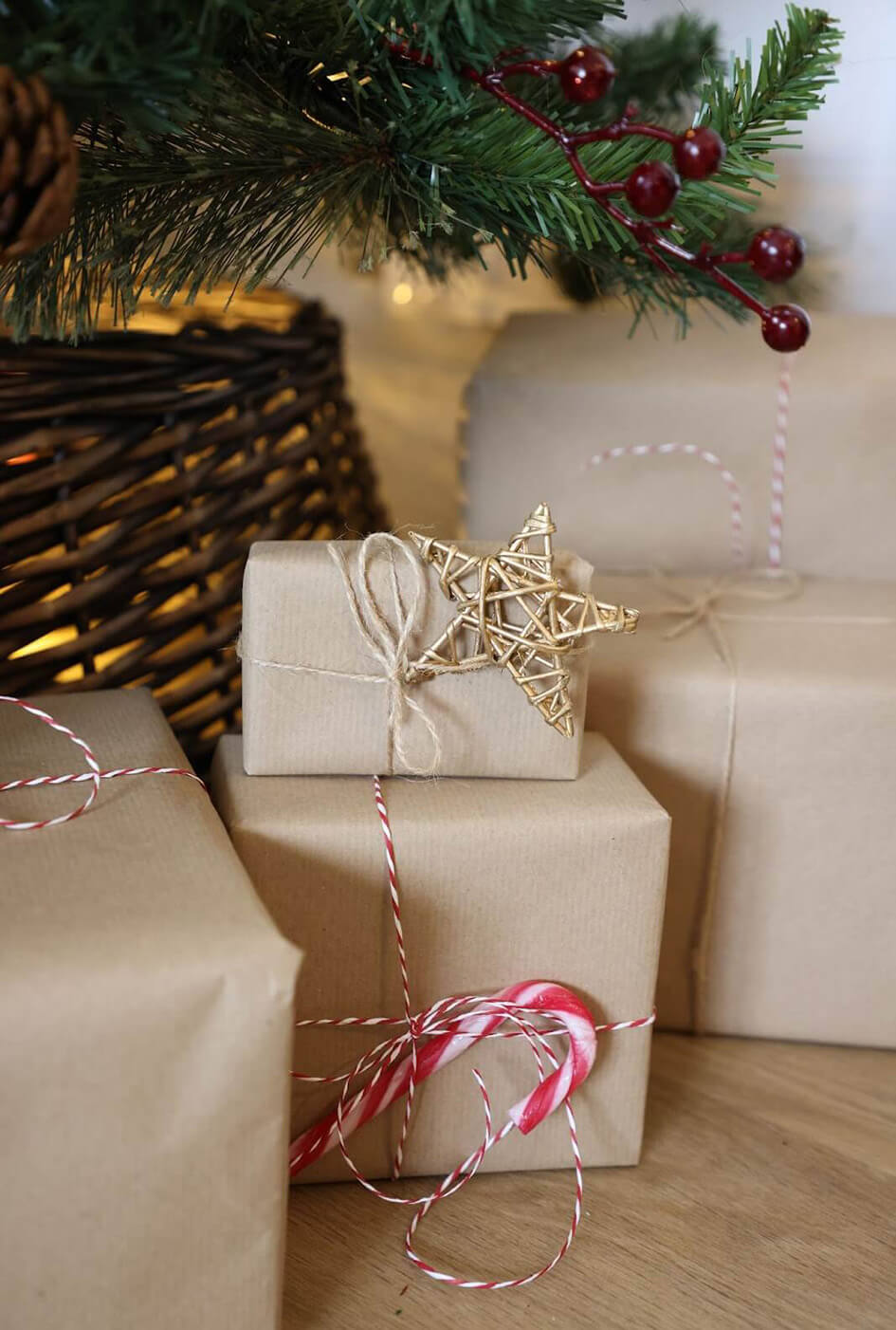 A close-up of a present under a Christmas tree.