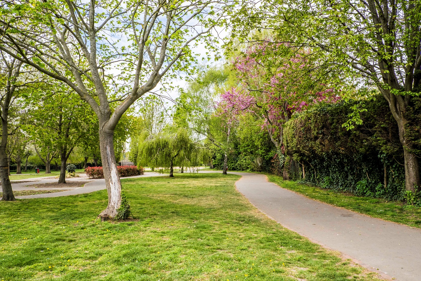 garratt park