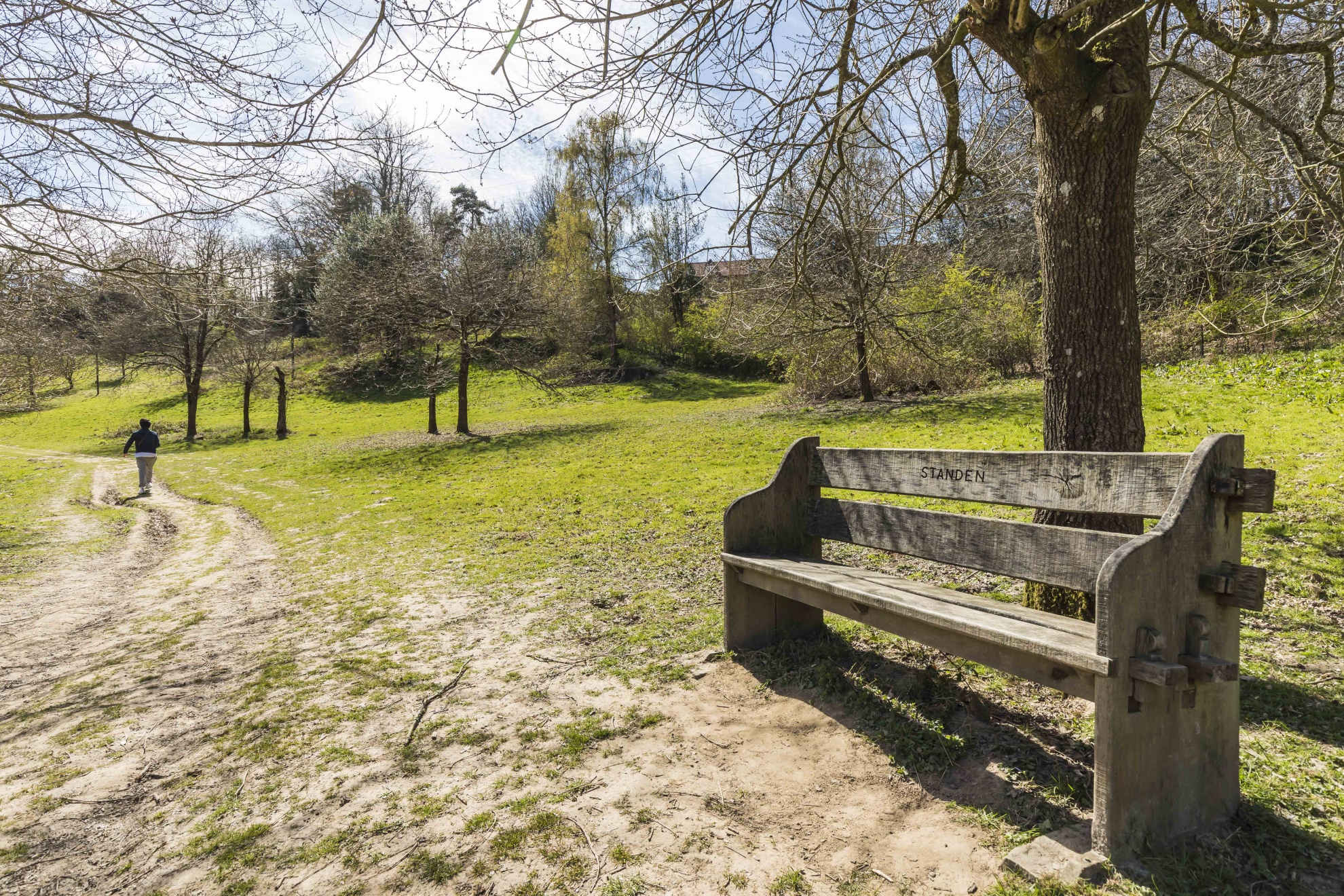 selsfield common