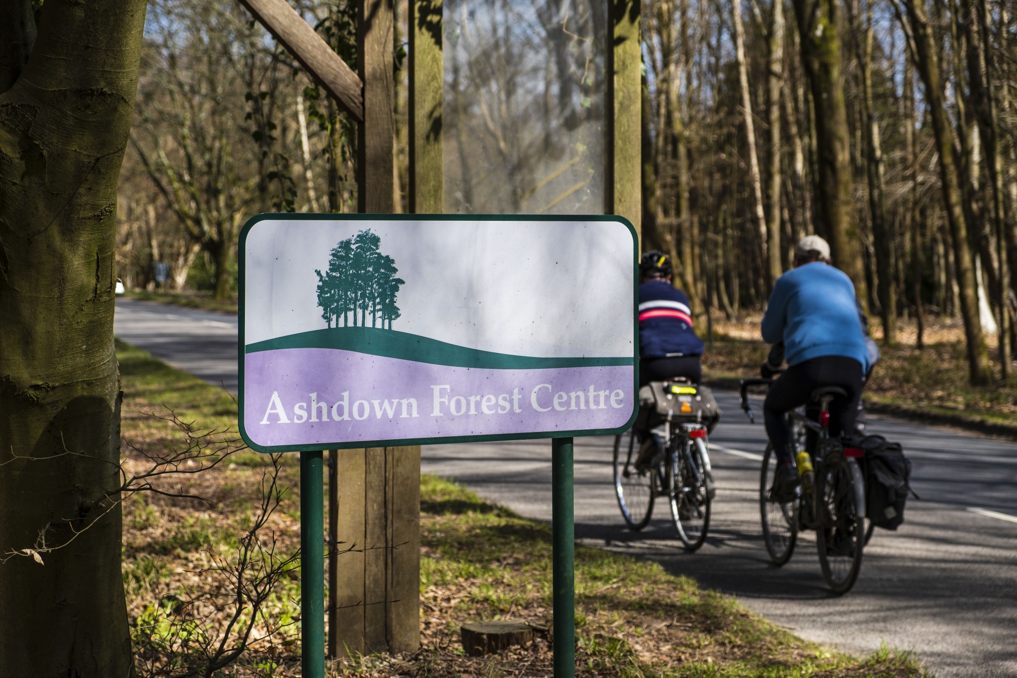 ashdown forest