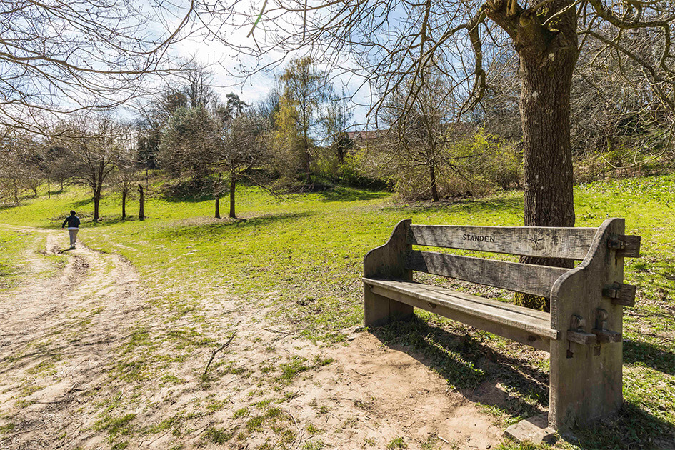 selsfield common