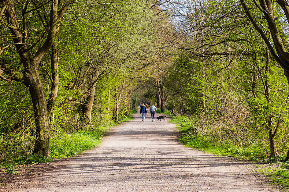 forest way country park