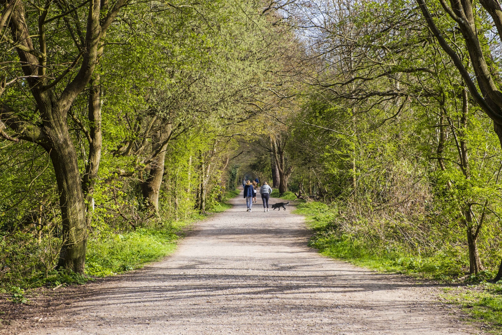 forest way country park