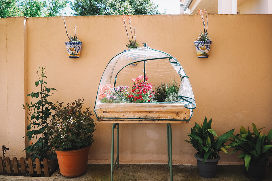 A tabletop greenhouse for the garden.