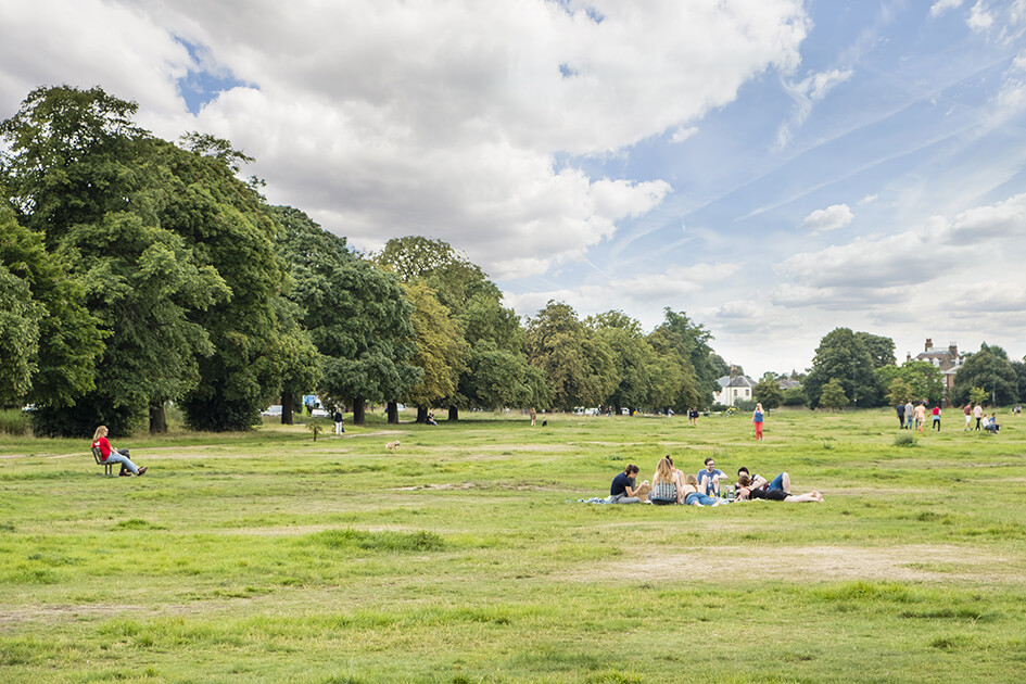 A group of people sitting on the grass at Wimbledon Common