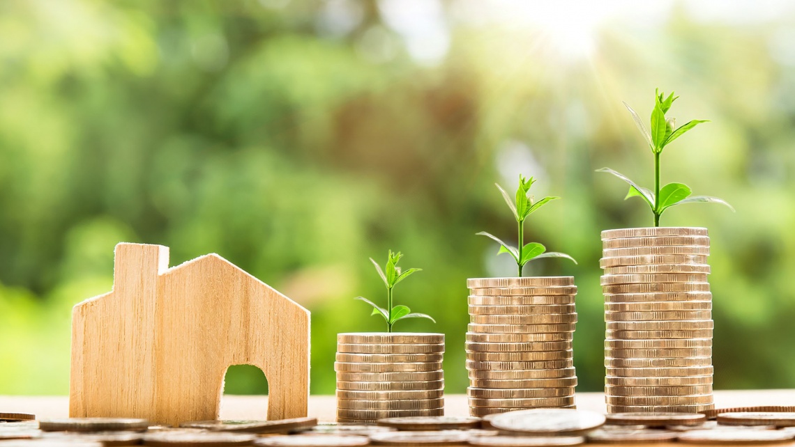 Miniature wooden house and money trees