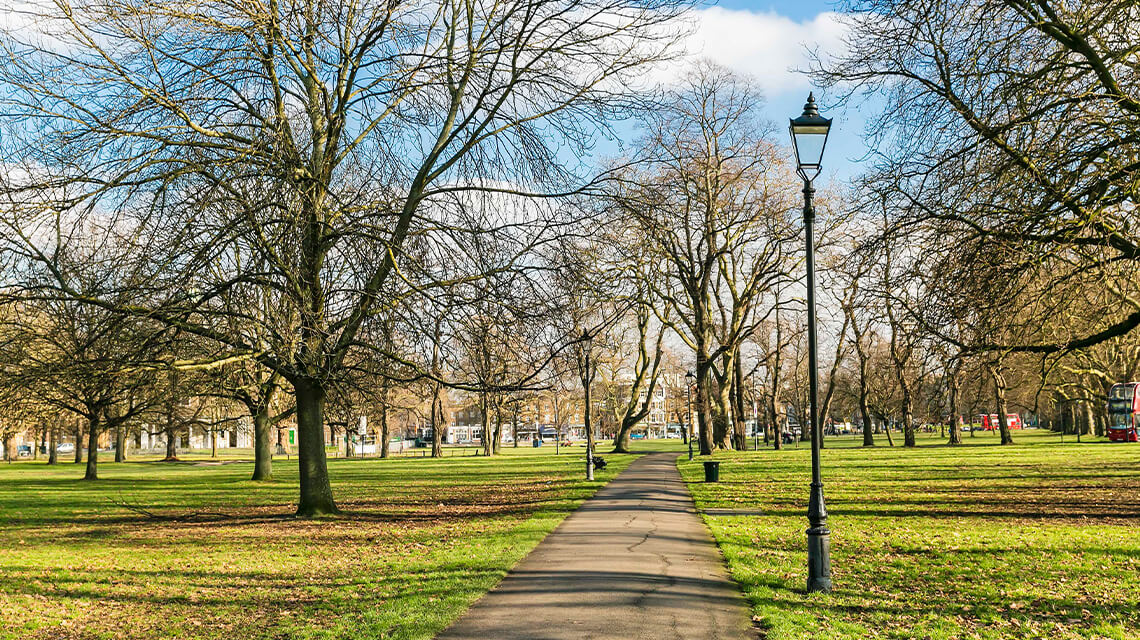 A park in Clapham, South London