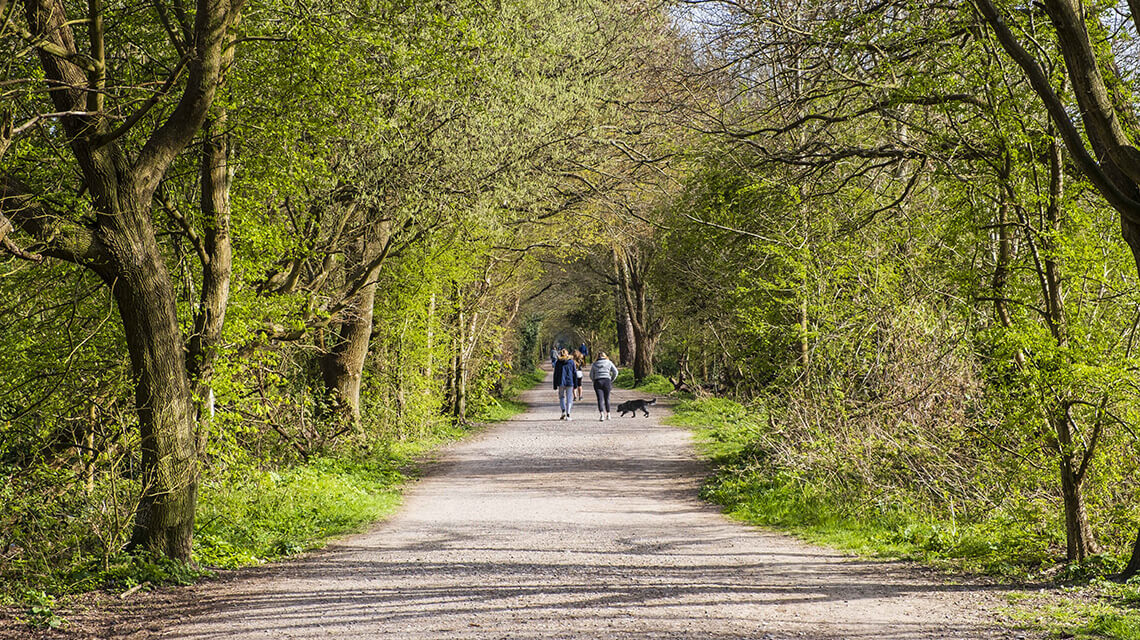 A pathway in Forest Way, West Sussex with people walking their dog.