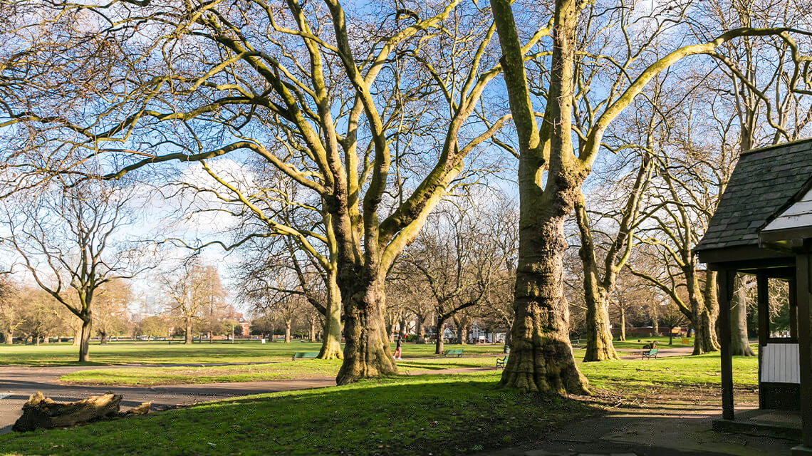 Clapham Common in Wandsworth