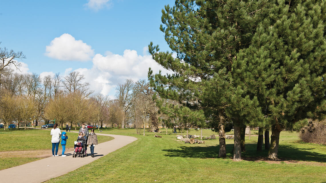 A park in Luton