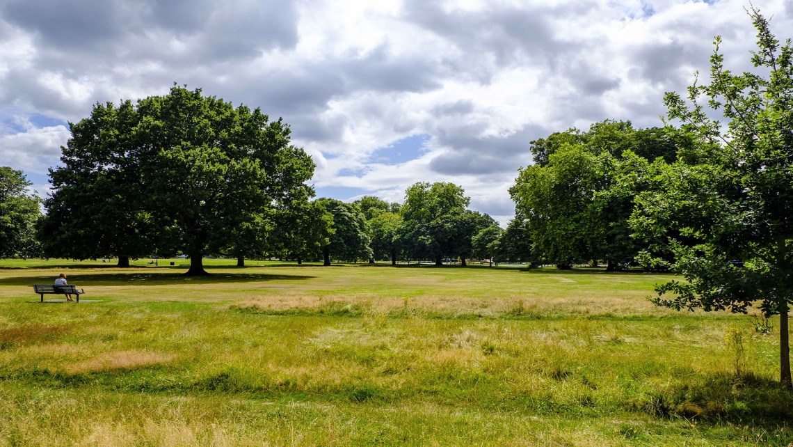 A green open space in West London