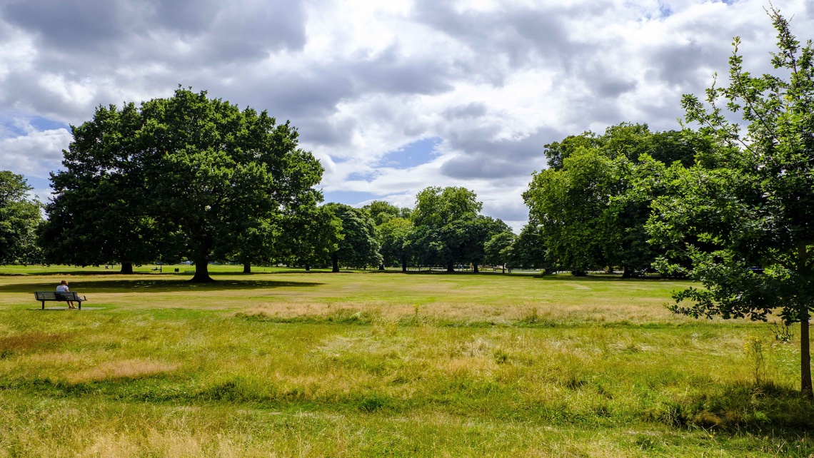 A green open space in West London