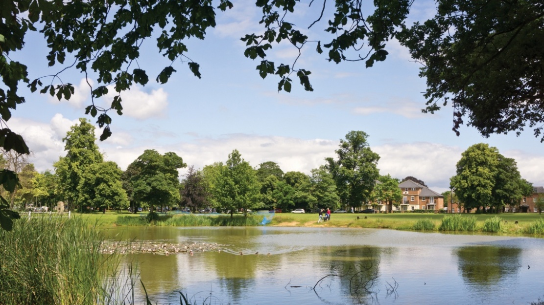 Brentwood, living in Brentwood, area guide, Essex, Home County, property, Essex House