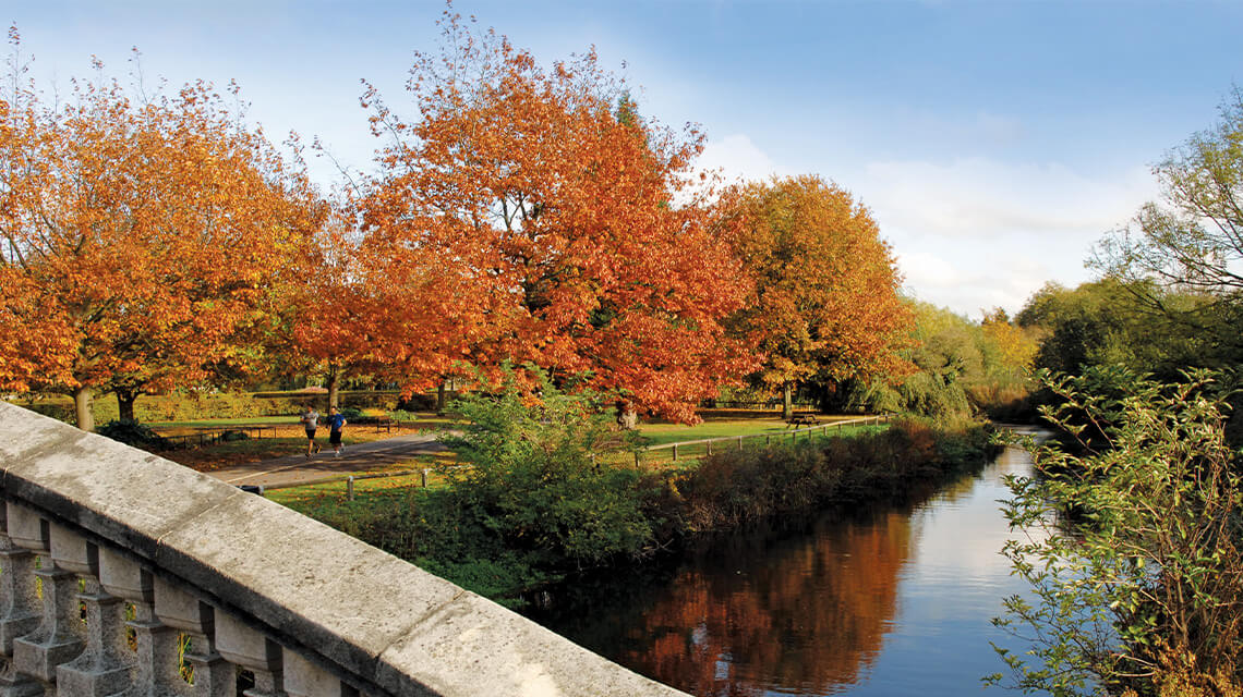 An autumnal scene in Chelmsford by the river.