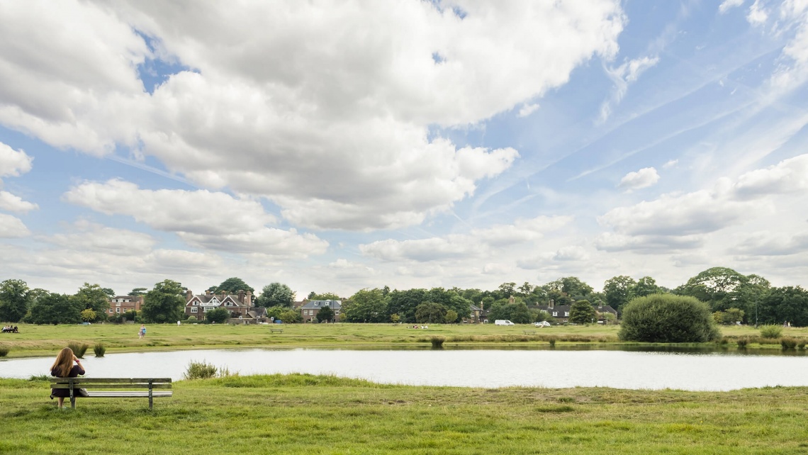 Green Space in Wimbledon