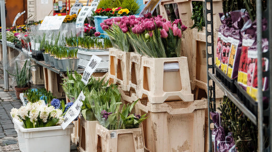 A flower stall at Romford Market