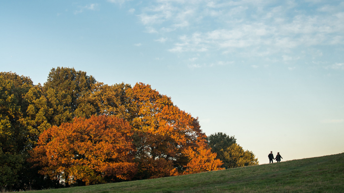 Autumn, London, Activities, Lifestyle, Galliard Homes