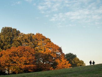 Autumn, London, Activities, Lifestyle, Galliard Homes
