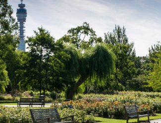 Scenic parkland in W1 The Chilterns, Marylebone, Fitzrovia, W1, Luxury Apartments, Galliard Homes