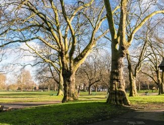 The Best Green Spaces in Wandsworth - Clapham Common Clapham Common in Wandsworth