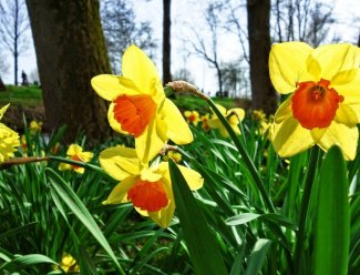 Things to Do in London this Spring